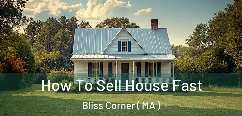  How To Sell House Fast Bliss Corner ( MA )
