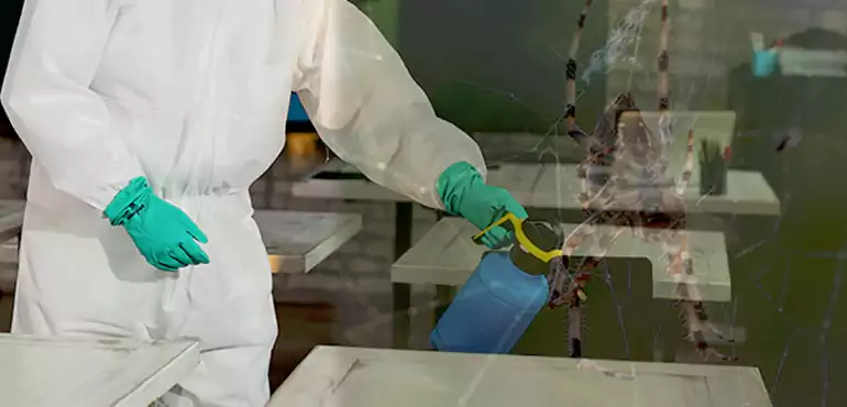 Why Buyers Still Want Homes With Pest Infestations in Massachusetts, MA?