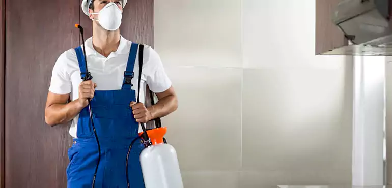Why Massachusetts Homeowners Choose Us When Pests Make Selling Difficult