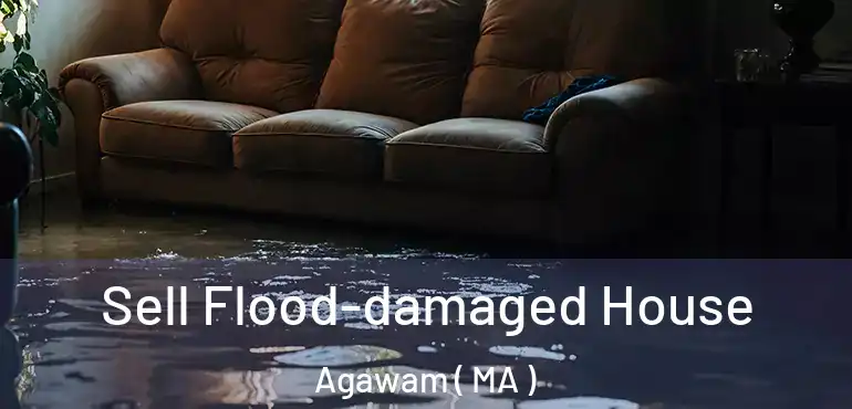  Sell Flood-damaged House Agawam ( MA )