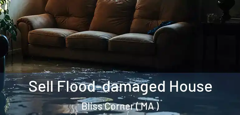  Sell Flood-damaged House Bliss Corner ( MA )