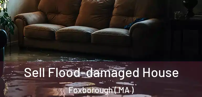  Sell Flood-damaged House Foxborough ( MA )