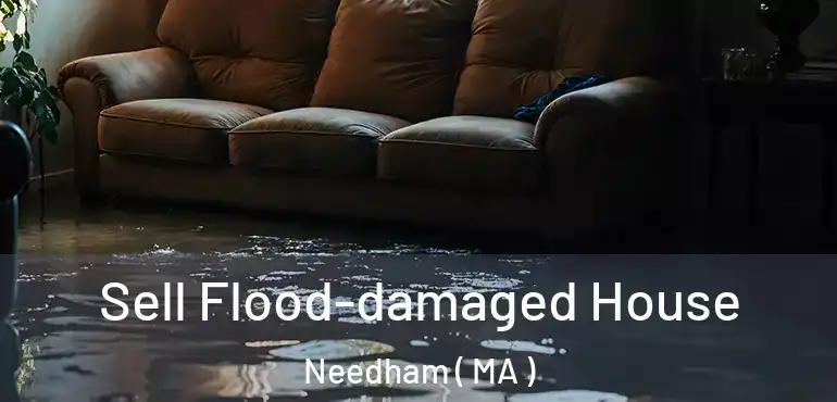 Sell Flood-damaged House Needham ( MA )