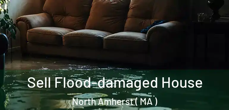  Sell Flood-damaged House North Amherst ( MA )