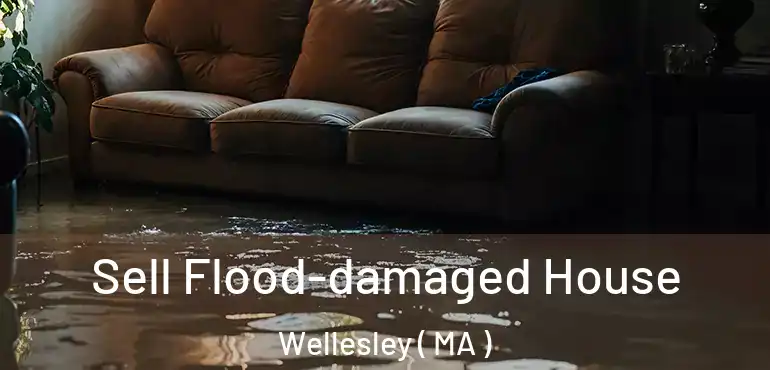  Sell Flood-damaged House Wellesley ( MA )