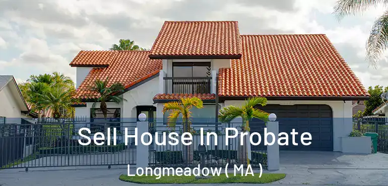  Sell House In Probate Longmeadow ( MA )