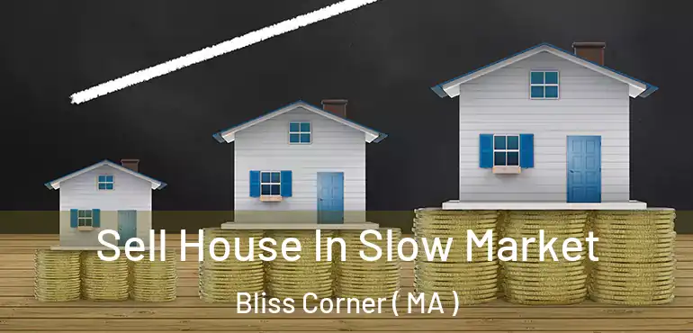  Sell House In Slow Market Bliss Corner ( MA )