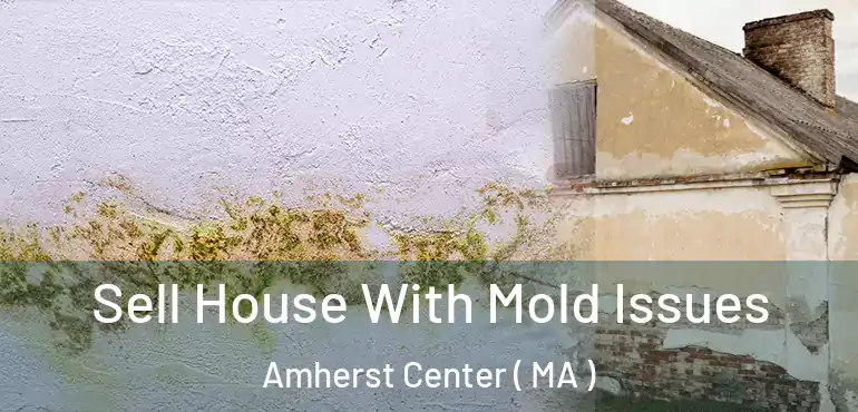  Sell House With Mold Issues Amherst Center ( MA )