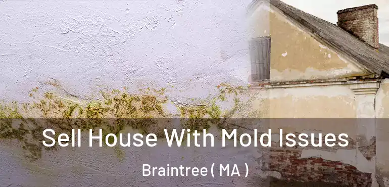  Sell House With Mold Issues Braintree ( MA )