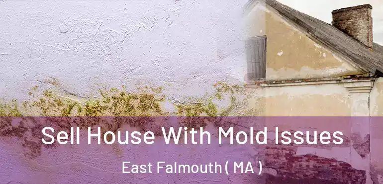  Sell House With Mold Issues East Falmouth ( MA )