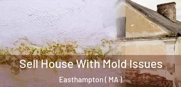  Sell House With Mold Issues Easthampton ( MA )