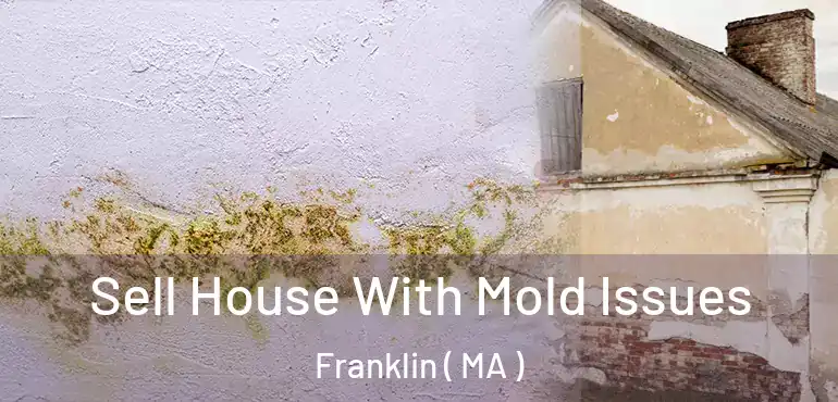  Sell House With Mold Issues Franklin ( MA )