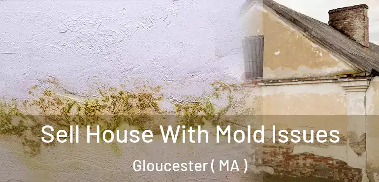  Sell House With Mold Issues Gloucester ( MA )