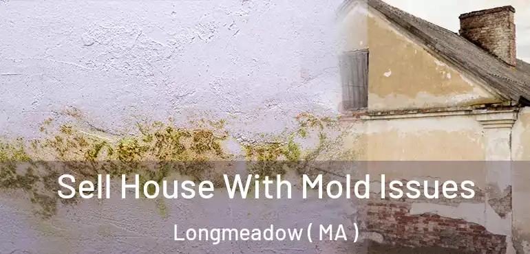  Sell House With Mold Issues Longmeadow ( MA )