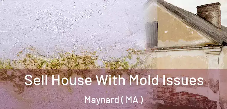 Sell House With Mold Issues Maynard ( MA )