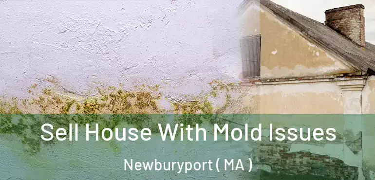  Sell House With Mold Issues Newburyport ( MA )