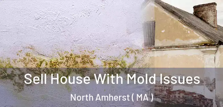  Sell House With Mold Issues North Amherst ( MA )