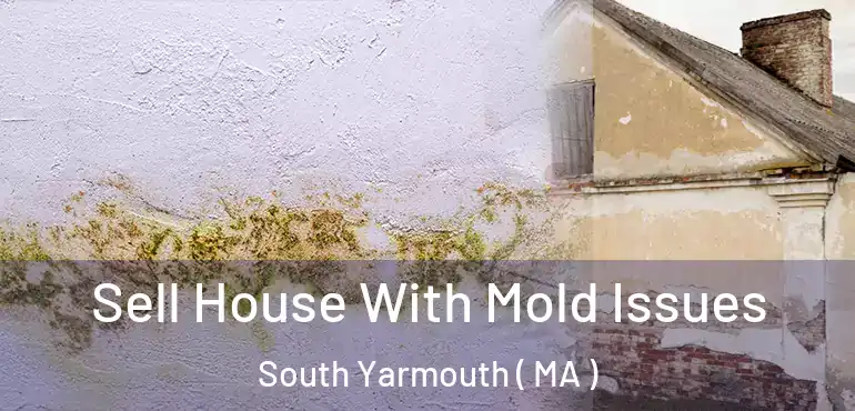  Sell House With Mold Issues South Yarmouth ( MA )