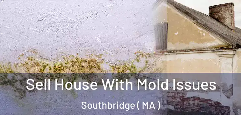  Sell House With Mold Issues Southbridge ( MA )