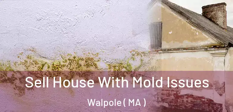  Sell House With Mold Issues Walpole ( MA )
