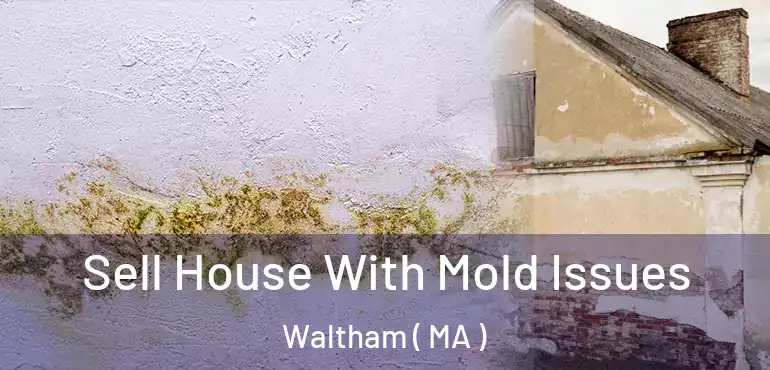  Sell House With Mold Issues Waltham ( MA )