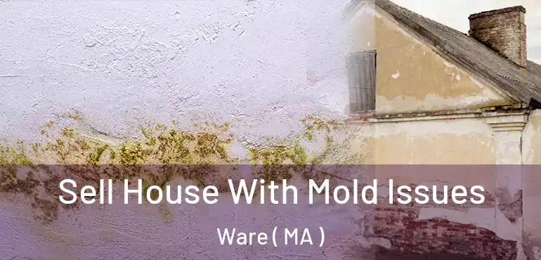  Sell House With Mold Issues Ware ( MA )