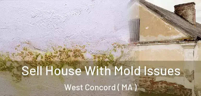  Sell House With Mold Issues West Concord ( MA )