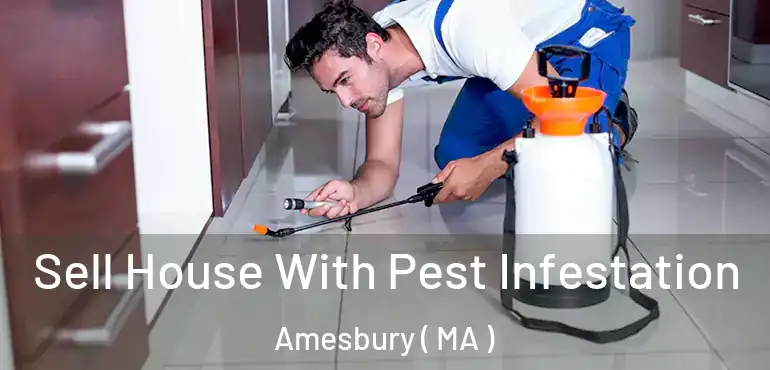  Sell House With Pest Infestation Amesbury ( MA )