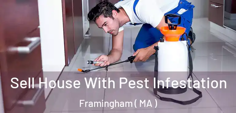  Sell House With Pest Infestation Framingham ( MA )