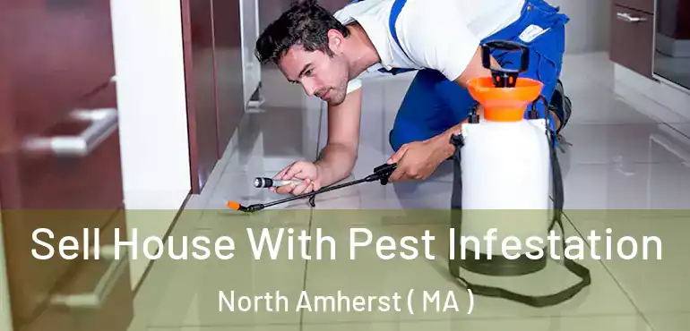  Sell House With Pest Infestation North Amherst ( MA )
