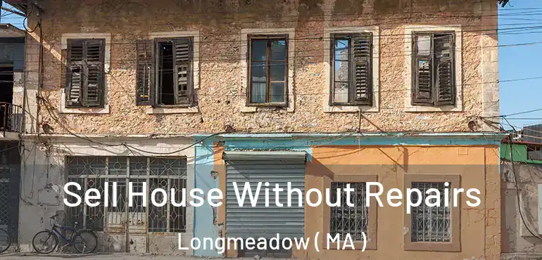  Sell House Without Repairs Longmeadow ( MA )